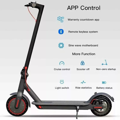 M5 Compact Electric Scooter 36V 8AH