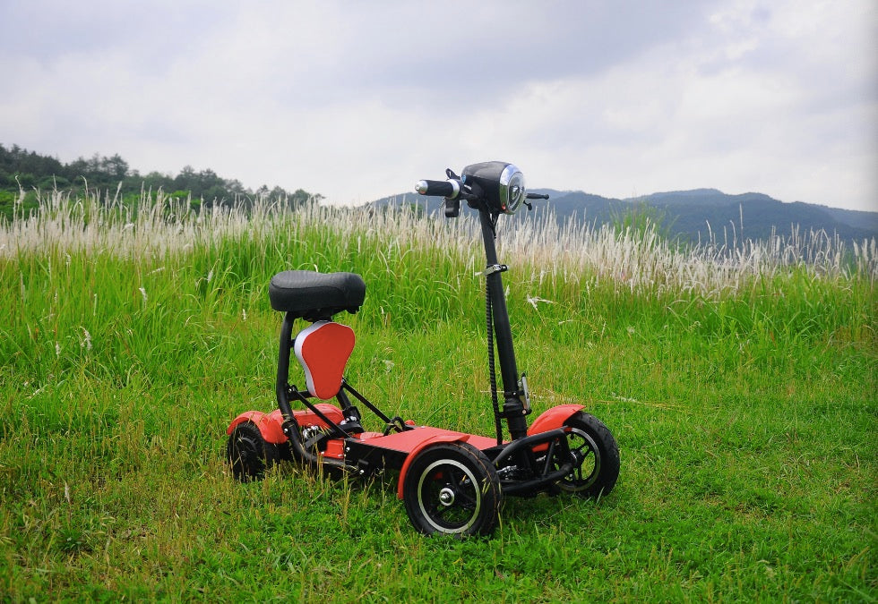 TTX  Four Wheels Version 36V 10Ah Lithium Battery Electric Scooter